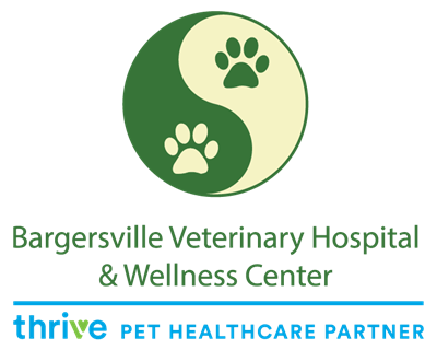 Bargersville Veterinary Hospital 